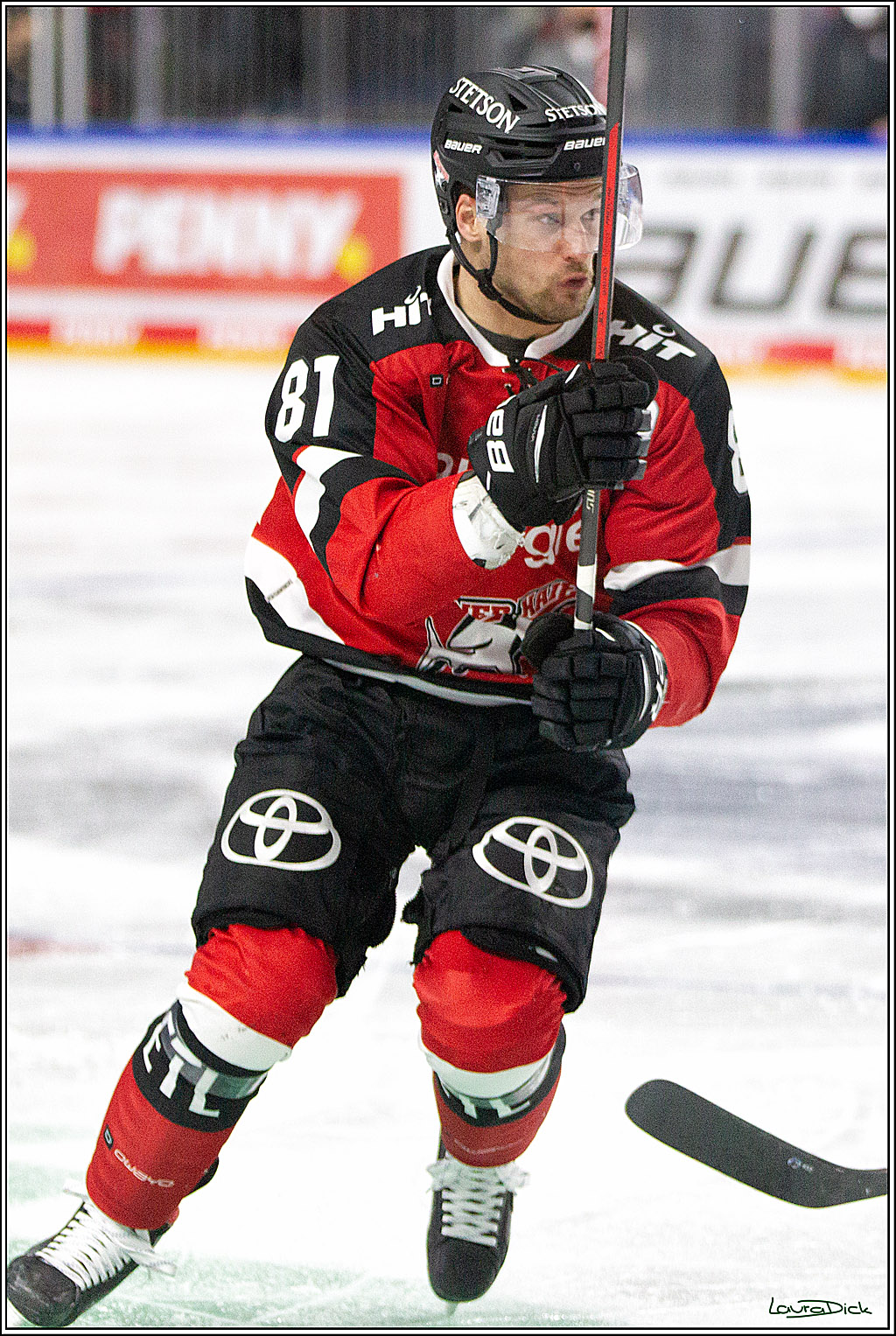 PENNY DEL;  Koelner Haie - Straubing Tigers; Koeln, 15.10.2021